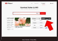 twitter mp3 download|More.